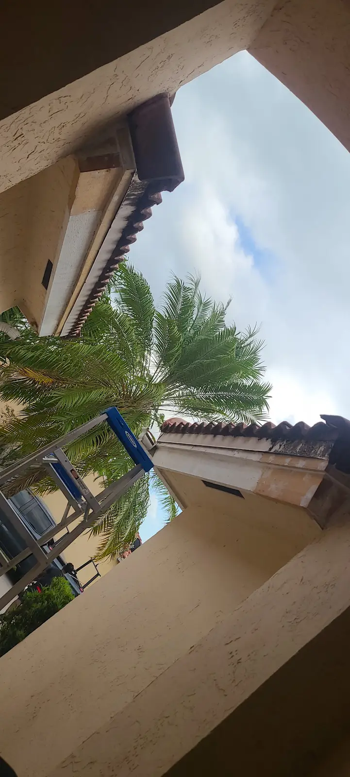 Biss Media ground-level photograph of roof eaves, exterior walls and a ladder