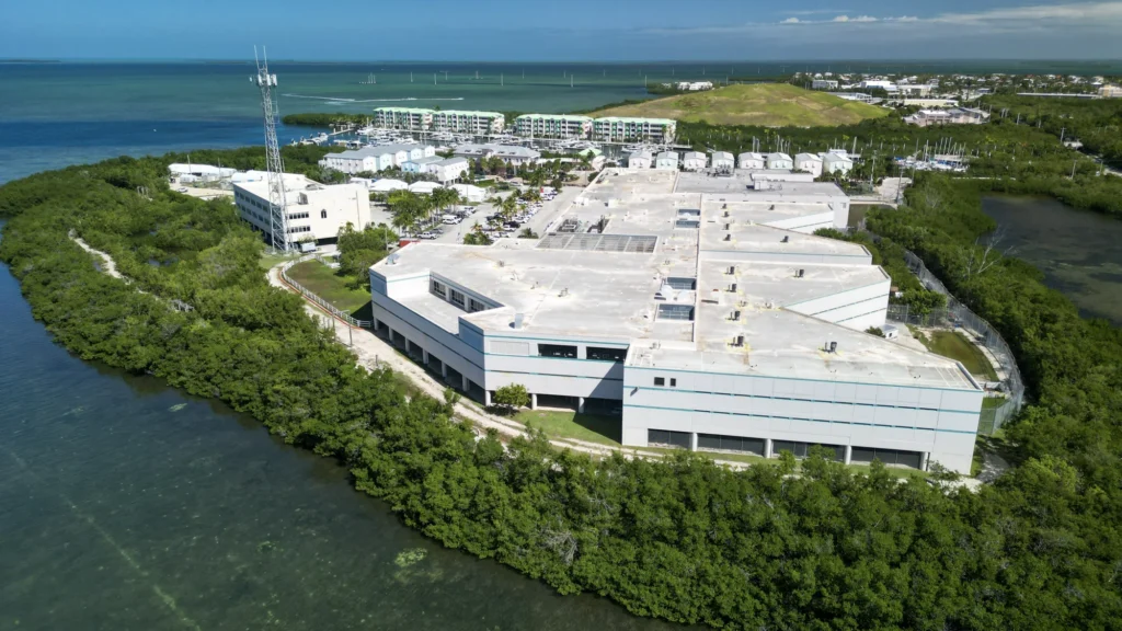 Waterfront buildings and mangrove edges