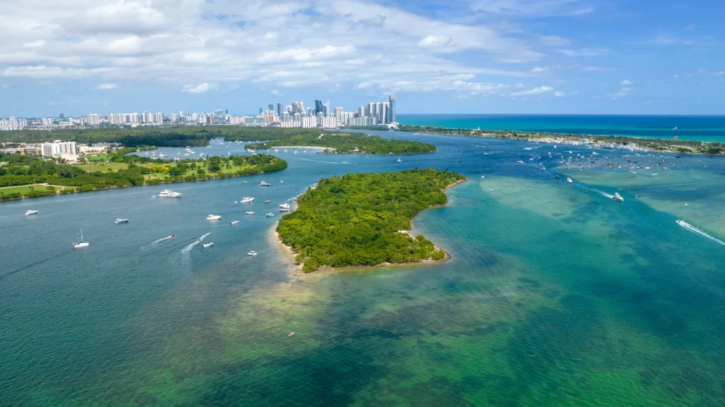 Mangrove islands and shallow coastal water