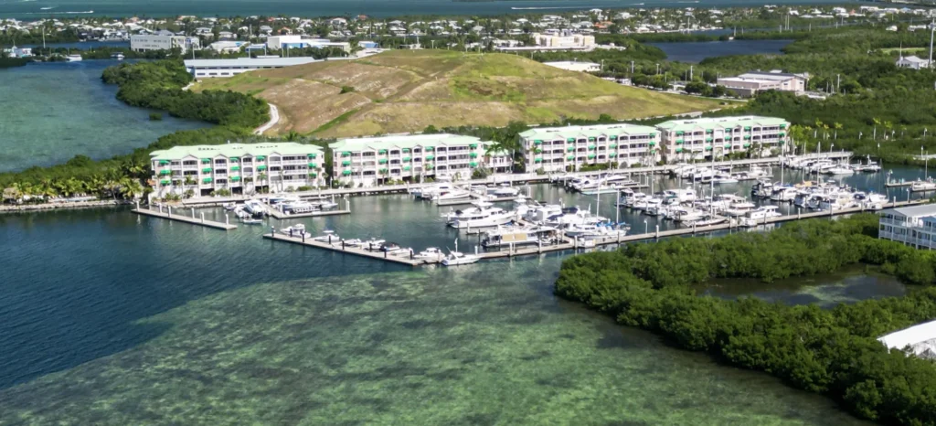 Buildings beside an inlet and mangroves